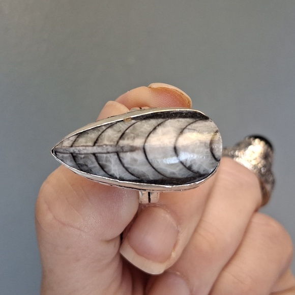 New Orthoceras Fossil 925 Silver Ring. - Picture 9 of 12
